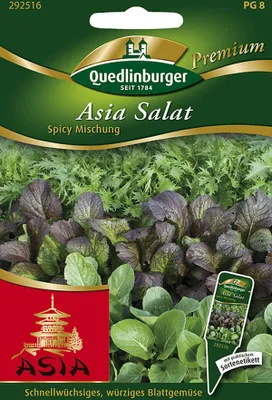 Produktbild von Quedlinburger Saatgut - Asia-Salat Spicy Mischung - Samen - 292516