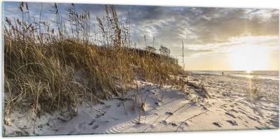 Produktbild von Bilder auf glas - Einteilig - Sand Gras Meer - 120x50cm - Glasbilder - Wandbilder - Bilder - zum Aufhängen bereit - Wanddekoration aus Glas - Glas Bilder - Wandbild auf Glas - GAB120x50-4781