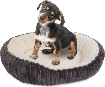 A small puppy sits in a dog bed.