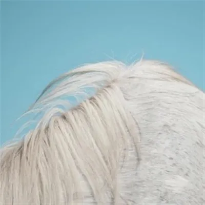 Produktbild von Widowspeak-All Yours