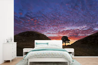 Produktbild von Tapete - Farbenfroher Himmel über dem Nationalpark Northumberland in England - Breite 525 cm x Höhe 350 cm