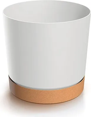 A white cylindrical plant pot with a brown base.