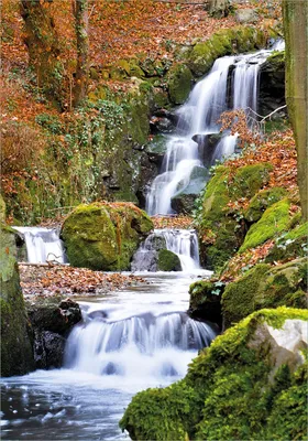 Produktbild von Wallario selbstklebendes Poster - Bach im Wald, Größe: 70 x 100 cm