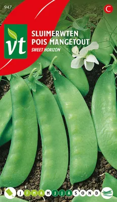 Obrázok produktu pre Semienka hrachu sladkého Horizon - cca 50 gr | VT_947