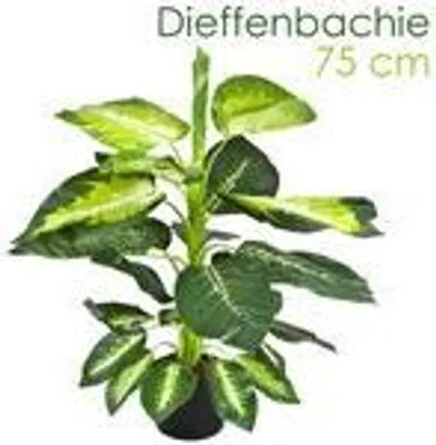 Produktbild von Dieffenbachia umelá rastlina umelá rastlina 75 cm umelá kvetina vnútorná dekorácia umelá rastlina ako skutočná v kvetináči Decovego