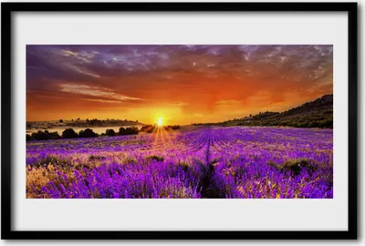Produktbild von Bild 60x40 MDF-Rahmen Wandkunst Sonnenuntergang Lavendelfeld