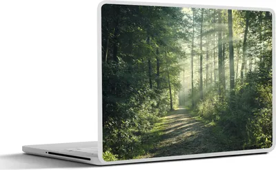 Produktbild von MuchoWow® Laptop Aufkleber Sticker Cover Wald - Weg - Sonne - Bäume - Grün - Natur 30x22 cm - Laptop-Sticker