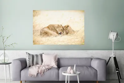 Produktbild von MuchoWow® Poster Löwenmutter mit Jungen im Gras des Ngorongoro-Kraters in Tansania 160x120 cm - Foto Plakat