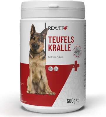 Produktbild von REAVET Afrikanische Teufelskralle für Hunde & Katzen 500g - Teufelskrallen Pulver für Sehnen & Bänder, Gelenkpulver zur Unterstützung der Beweglichkeit & Gelenkfunktion