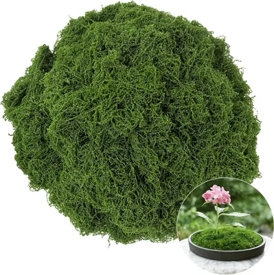 Produktbild von Künstliches Moos zur Dekoration, 200 g, dunkelgrün, extra weich und realistisch, Moosdekoration für Wände, Hochzeiten, Bastelprojekte, Terrarien, Modellbau (dehnbar, tiefgrün)