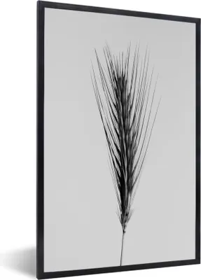 Produktbild von MuchoWow® MuchoWow® Gerahmtes Poster Pflanzen - Schilf - Natur - Schwarz und weiß 40x60 cm - Poster mit zchwarzem Bilderrahmen - Papierdruck - Wandbilder