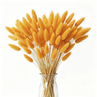 Immagine prodotto di Fiori secchi di pampa, decorazione, 60 pezzi, colore arancione, altezza 45 cm