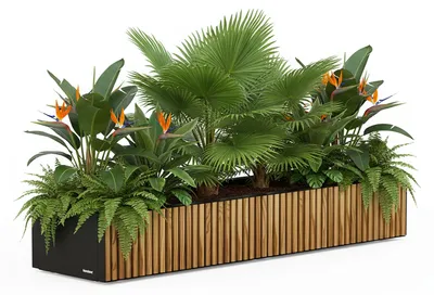 Obrázok produktu pre Herstera Deco Planter Xic Wod, Vysadzovač, Voľne stojace, fajánsa, Kov, Čierna, Drevo, Obdĺžnik, Vnútorná / vonkajšia