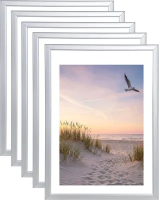 Produktbild von 3er 5er 10er Set Bilderrahmen Fotorahmen aus Kunststoff Bilder Foto Posterrahmen Collage AC-6 Wanddeko - Farbe: 5er Pack Silber | Format: 30x45