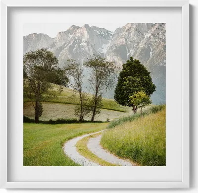 Produktbild von Felddogge in den Bergen– Wandbild mit Rahmen – Gerahmtes Bild  – Wanddekoration – 50x50 cm –  Weiß Rahmen
