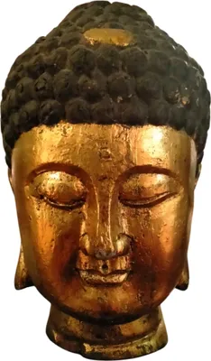 Produktbild von Fine Asianliving Japanische Buddha-Statue, Kopf, goldener Baumstamm, D40xH65cm