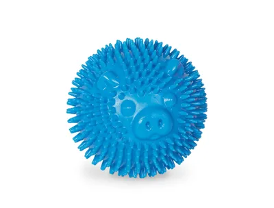 Produktbild von TPR Noppen Ball "Pig", blau, 6,5cm