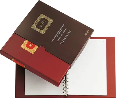 Immagine prodotto di Miquelrius 4102 Notizbuch e Block 100 Blatt braunes Papier