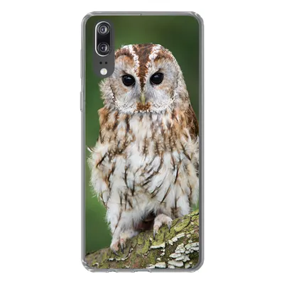 Produktbild von MuchoWow® Handyhülle Schutzhülle Hülle für Huawei P20 Braune Eule sitzt auf einem Baum Silikon Softcase Handy Hülle - Hardcover