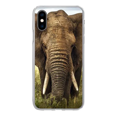 Produktbild von MuchoWow® Handyhülle Schutzhülle Hülle für iPhone X Elefant - Gras - Tiere - Natur Silikon Softcase Handy Hülle - Handyhülle