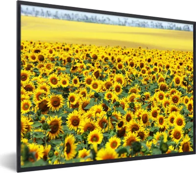 Produktbild von MuchoWow® Gerahmtes Poster Sonnenblume - Blumen - Natur 80x60 cm - Poster mit Schwarzem Bilderrahmen Wandposter Rahmen Foto Bilder - Schwarzem - Mit Gestell