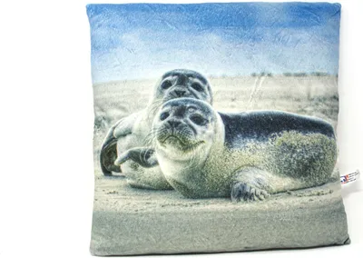 Produktbild von Stoffkissen - Seehunde - 35x35