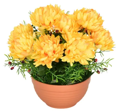 Productafbeelding van Herfstschotel met gele chrysanten, 10 bloemen, Ø25 × 26 cm