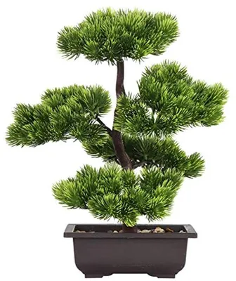 Image de Plantes de bonsaï artificielles pour la décoration intérieure et de bureau