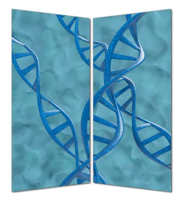 Produktbild von Wallario selbstklebende Duschrückwand 160 x 180 cm mit Motiv DNA-Strang in blau auf türkisem Hintergrund - Wandverkleidung mit Hochglanzlaminat in Glasoptik