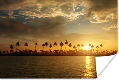 Produktbild von MuchoWow® Poster Palmen bei Sonnenuntergang 30x20 cm - Plakate - Print