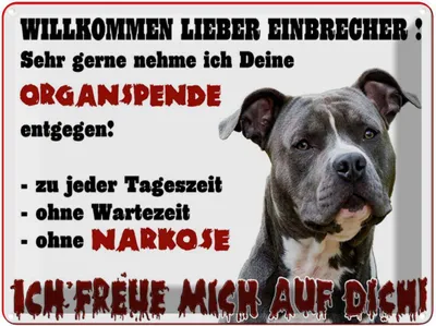 Produktbild von vianmo Blechschild 30x40 cm Hund Willkommen Einbrecher