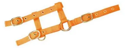 Zdjęcie produktu dla Norton Equestrian Mini Adjustable Halfter Orange Foal Orange Foal