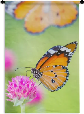 Produktbild von MuchoWow® Wandteppich Wandbehang Insekten - Schmetterlinge - Blumen 120x180 cm Tapisserie Dekoration Wandtuch - Schlafzimmer - Dekorationen für das Haus