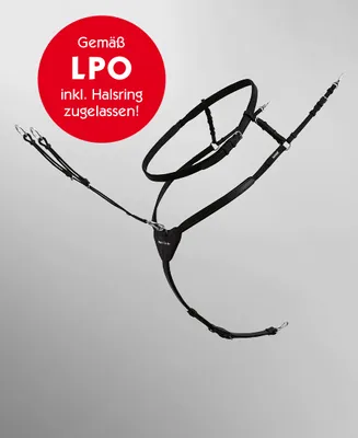 Produktbild von Passier Vorderzeug Ingrid Klimke schwarz mit Edelstahlbeschlägen one size , Größe:Full