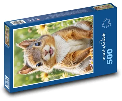Produktbild von Puzzle 500 Eichhörnchen in Blumen - martinpuzzle