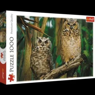 Obrázok produktu pre TREFL Puzzle Sovy 1000 dielikov