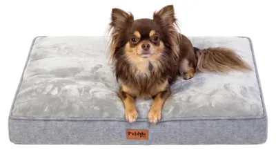 Produktbild von Pebble Orthopädisches Hundekissen 80 x 63 cm – Benchmatte / Hundematte, abnehmbarer Bezug, waschbar, Flanell, Grau (L)