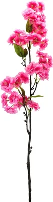 Produktbild von Frühlingsblühender Zweig rosa 90 cm