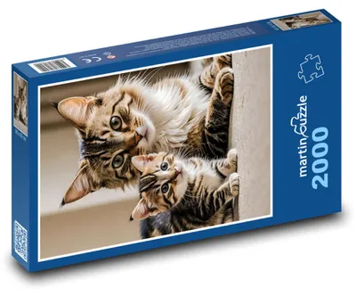 Obrázok produktu pre Puzzle 2000 Mačka a hravé mačiatko - martinpuzzle