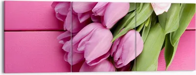 Produktbild von Bild auf Leinwand - Leinwandbild - Tulpen Blumenstrauß Garten - 150x50cm - Wand Bild - Wanddeko - Leinwanddruck - Bilder - Kunstdruck - Wanddekoration - Leinwand bilder - Wandkunst - CA150x50-2722