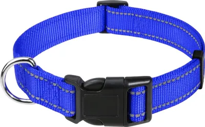 Produktbild von TagME Reflektierendes Nylon-Hundehalsband mit Schnellverschluss L Blau.