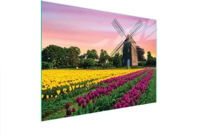 Obrázek produktu pro Skleněná krájecí deska 40x30 meadow