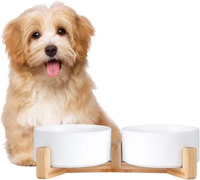 Image de Gamelles en céramique 2 x 850 ml pour chiens et chats, avec support en bois