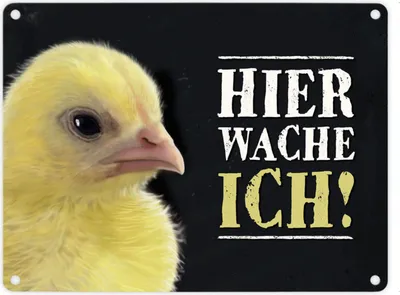 Produktbild von Metallschild mit Küken Motiv und Spruch: Hier wache ich! Metallschild