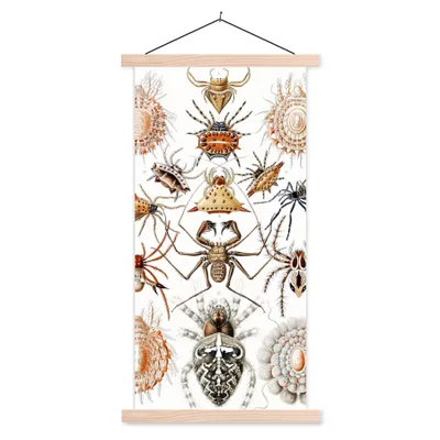 Produktbild von MuchoWow® Textilposter Retro - Spinne - Ernst Haeckel - Spinnen 60x120 cm mit holzfarbenen Rahmen - Holz