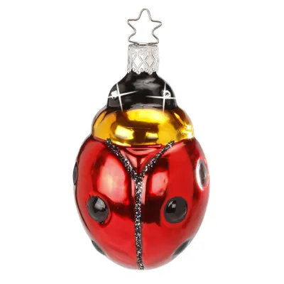 Produktbild von Christbaumschmuck Glas Marienkäfer 8,5cm Rot / Schwarz