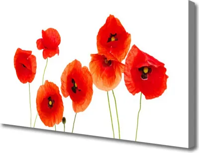 Produktbild von Tulup Leinwand-Bilder 100x50 Wandbild Canvas Kunstdruck Mohnblumen Pflanzen