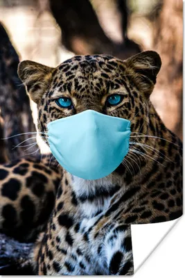 Produktbild von MuchoWow® Poster Mundschutz - Leopard - Tiere 120x180 cm - Kunstposter