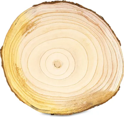 Produktbild von Baumscheibe Deko-Platte Ca. Ø 29cm Holz-Scheibe Naturbelassen Unikat