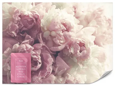 Obrázok produktu pre Muralo netkaná fototapeta FLOWERS pivonky príroda 3D š. 405cm x v. 270cm tapeta na stenu do obývačky